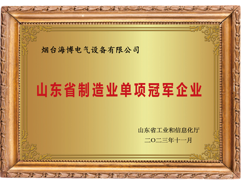 山東省制造業單項冠軍企業.jpg